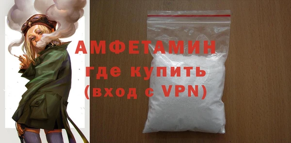 прущие грибы Елабуга