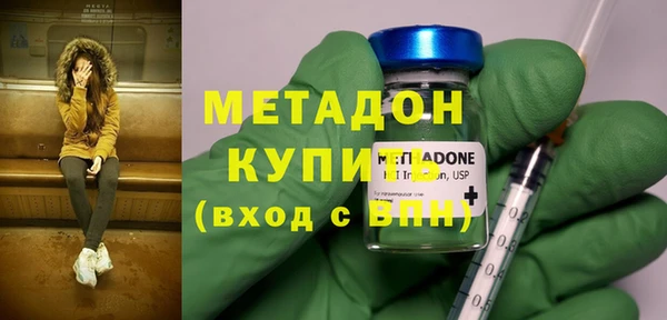 прущие грибы Елабуга