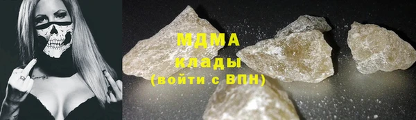 прущие грибы Елабуга