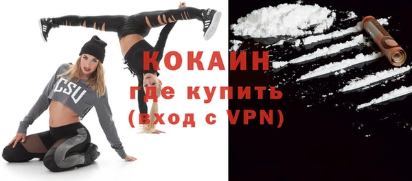 прущие грибы Елабуга