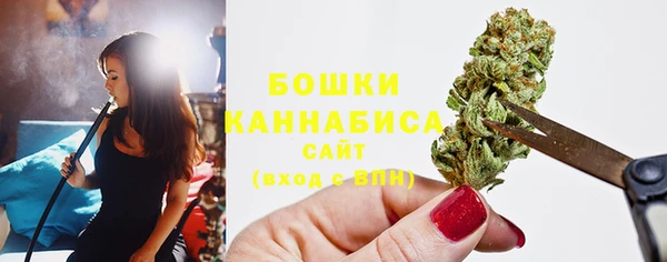 прущие грибы Елабуга