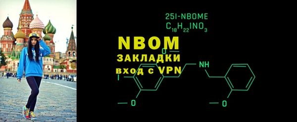 прущие грибы Елабуга