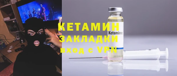 прущие грибы Елабуга