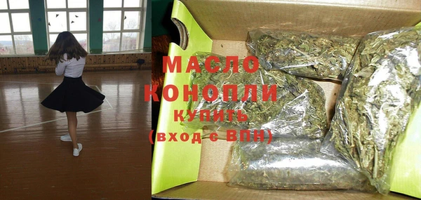прущие грибы Елабуга