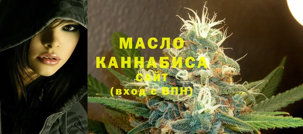 прущие грибы Елабуга