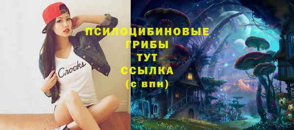 прущие грибы Елабуга