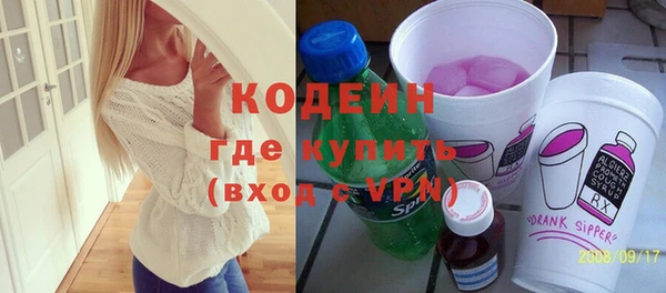 прущие грибы Елабуга