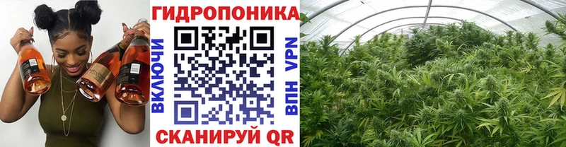 Купить закладки  Жигулёвск  Шишки марихуана семена 